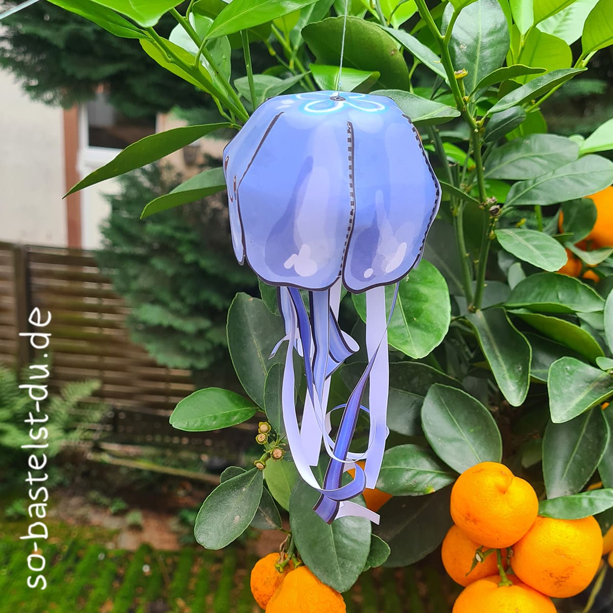 Qualle als Dekoration