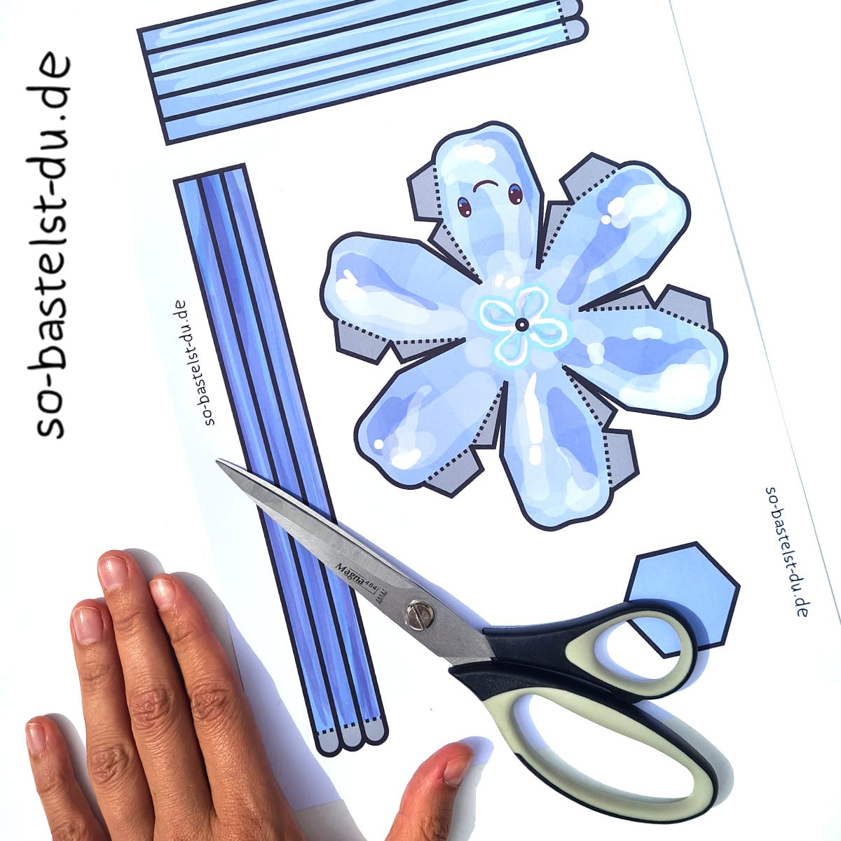 Qualle Bastelbogen zum Ausschneiden