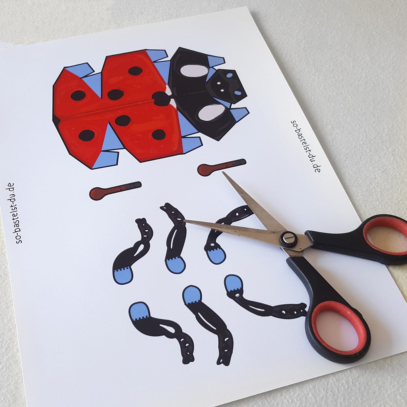 Bastelbogen: Marienkäfer – Bild 3