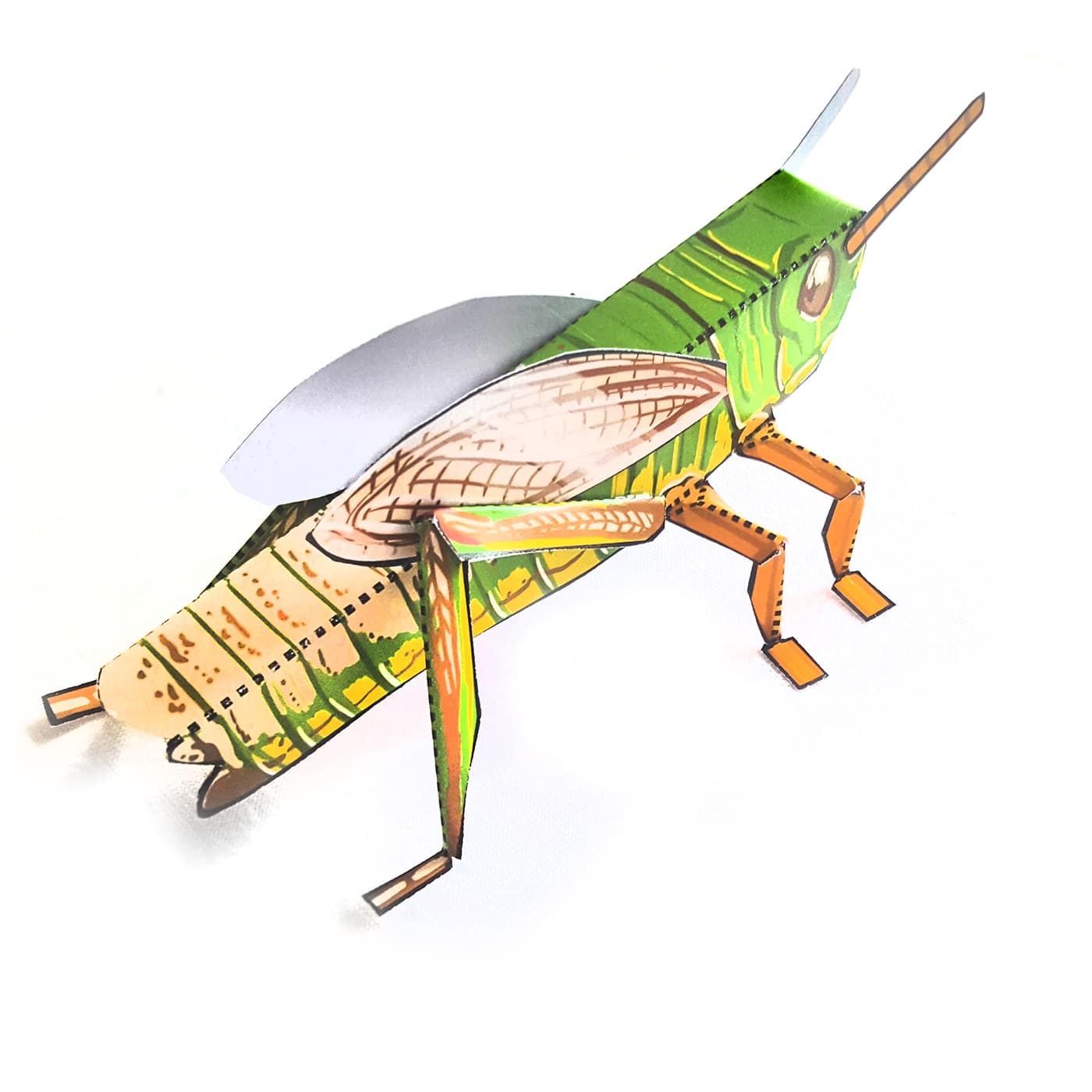 Bastelbogen: Insekten – Bild 11