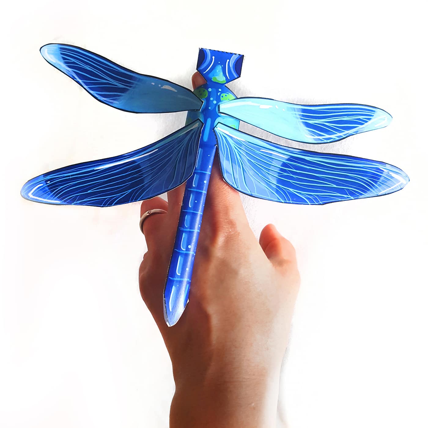 Bastelbogen: Insekten – Bild 5