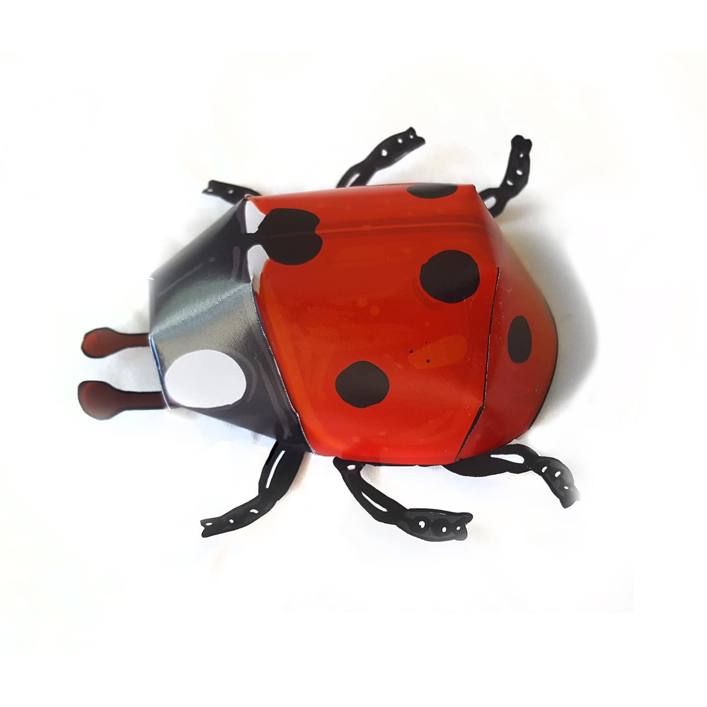 Bastelbogen: Insekten – Bild 7