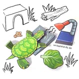 Schildkröte basteln Papier