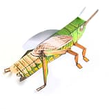 Bastelbogen: Heuschrecke