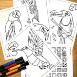 ZenDoodle Vorlagen Vögel Ausmalbilder zum Ausdrucken