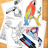 ZenDoodle Vorlagen Vögel Ausmalbilder zum Ausdrucken