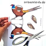 Fasan Bastelbogen