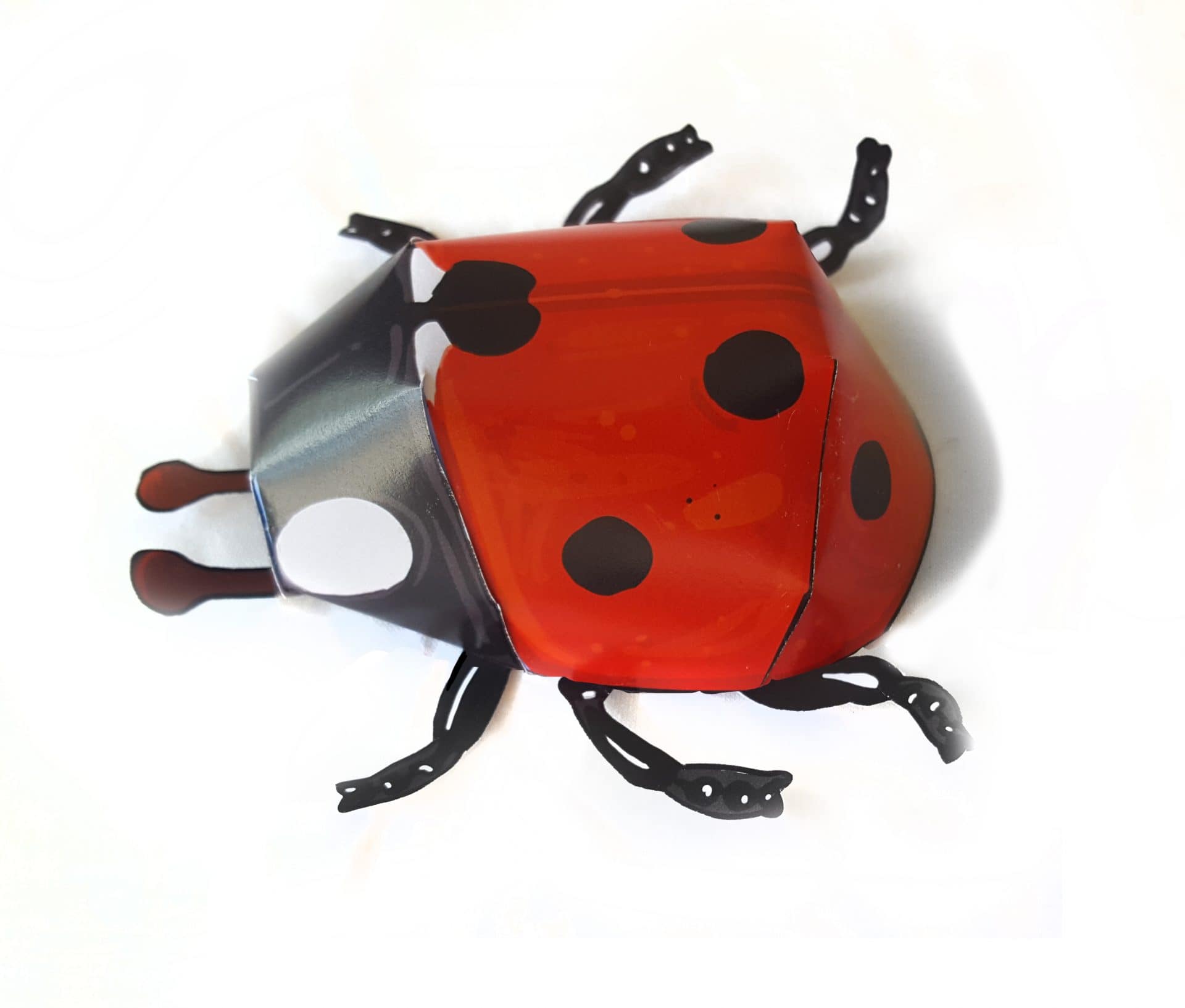 Bastelbogen: Marienkäfer