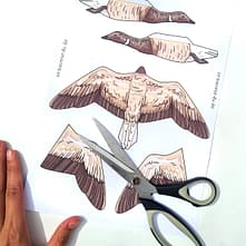 Vogel basteln Ringelgans Bastelbogen