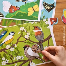 Erstes basteln Frühling Vögel